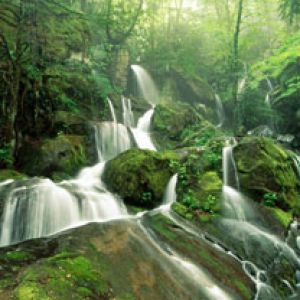 Cliff Branch Falls