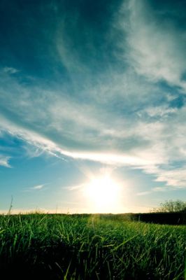 Grassy Sunset 