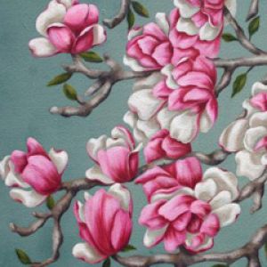 Japenese Magnolia 