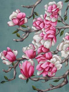 Japenese Magnolia 