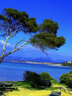 Cote D Azur 