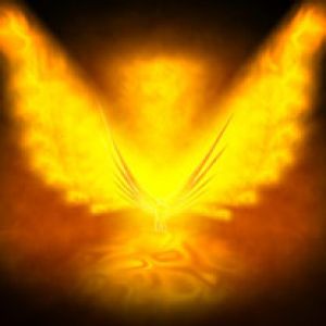 Phoenix Reborn