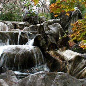 Chinese Garden - Sydney