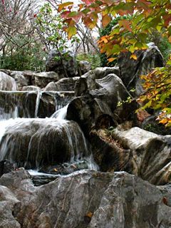 Chinese Garden - Sydney