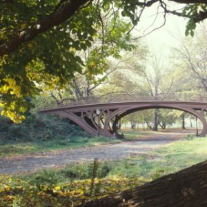 Central Park - New York City