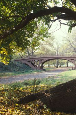 Central Park - New York City