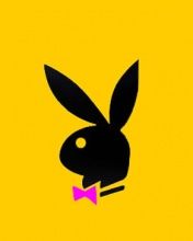 Playboy