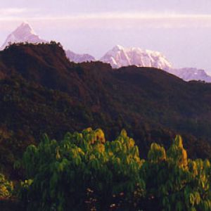 Pokhara