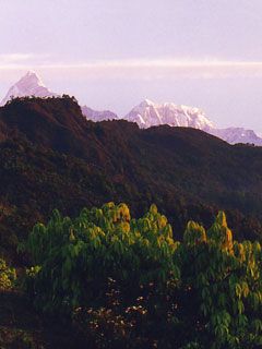 Pokhara