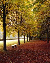 Park
