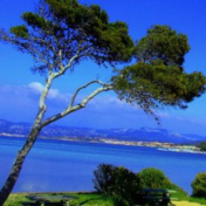 Cote D Azur