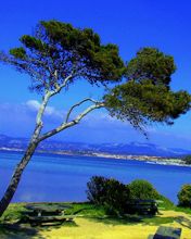 Cote D Azur