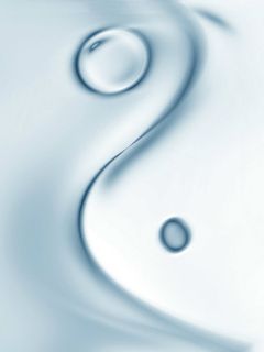 Yin-Yang