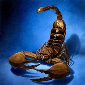 Scorpion Sentinel