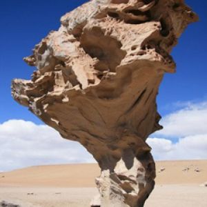 Arbol de Piedra Uyuni