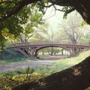 Central Park - New York