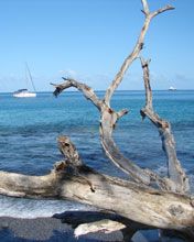 Grenada
