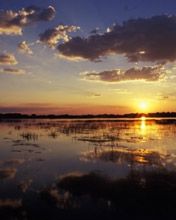 Botswana - Delta