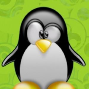 Pingwin