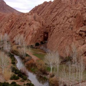 Dades Valley 