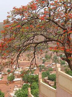 Bamako