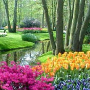 Keukenhof