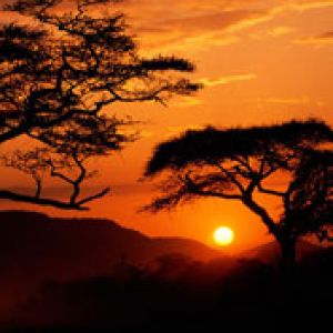 Serengeti National Park 