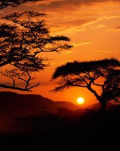 Serengeti National Park 