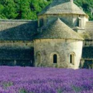 Provence Abbaye