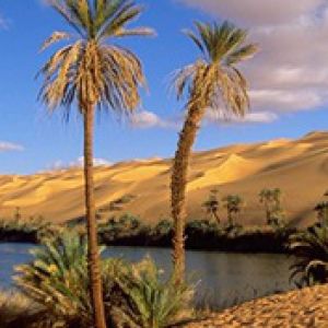 Libia