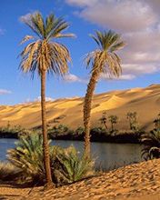 Libia