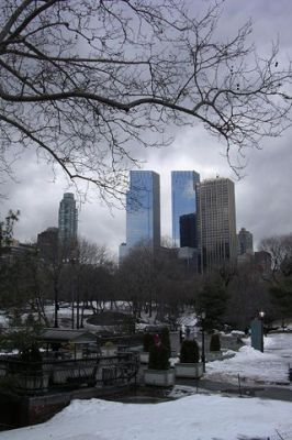 Central Park - New York