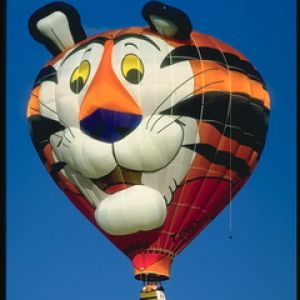 Tigerbalon