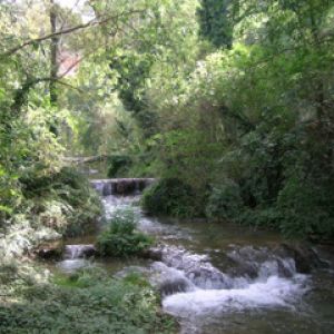 Paisajes Monasterio de Piedra