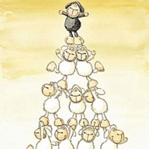 Sheeps
