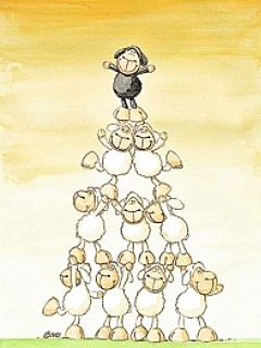 Sheeps