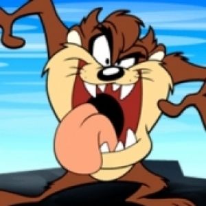 Taz