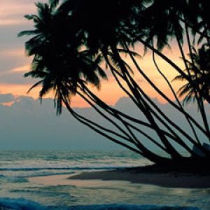 Colombo - Sri Lanka