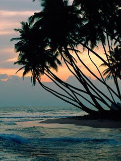 Colombo - Sri Lanka