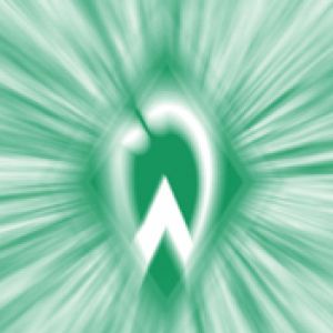 Werder Bremen