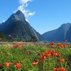 Mitre Peak Milford Sound - New Zealand