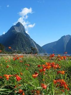 Mitre Peak Milford Sound - New Zealand