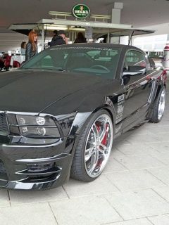 Mustang