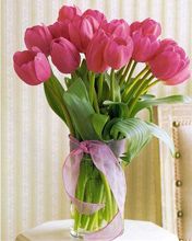 Pink Tulip Bouquet