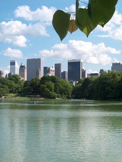 NYC -Central Park