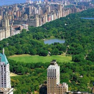 Central Park - New York