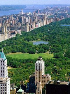 Central Park - New York