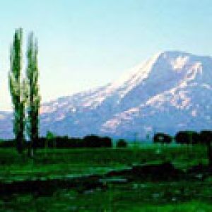 Ararat