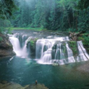 Lower Lewis River Falls - Gifford Pinchot