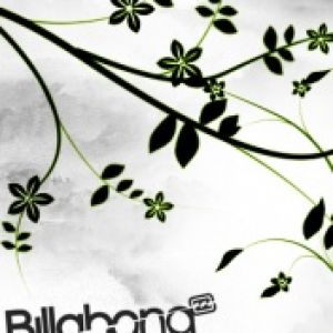 Billabong